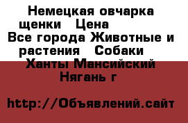 Немецкая овчарка щенки › Цена ­ 20 000 - Все города Животные и растения » Собаки   . Ханты-Мансийский,Нягань г.